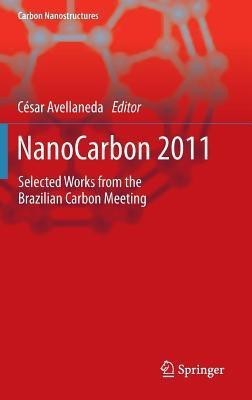 NanoCarbon 2011(English, Hardcover, unknown)