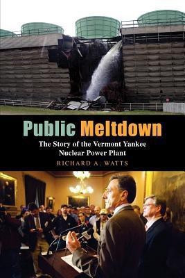 Public Meltdown(English, Paperback, Watts Richard)