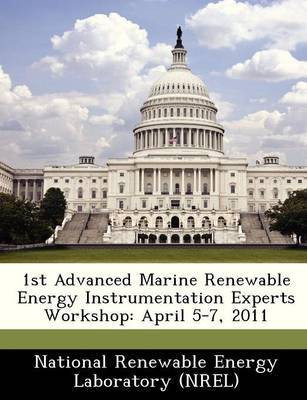 1st Advanced Marine Renewable Energy Instrumentation Experts Workshop(English, Paperback, unknown)