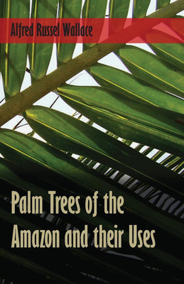 Palm Trees of the Amazon and Their Uses(English, Paperback, Wallace Alfred Russel)