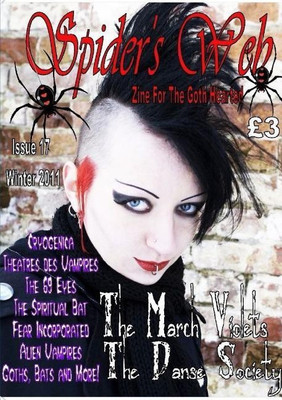 Spider's Web (Issue 17)(English, Paperback, Wood Spider)