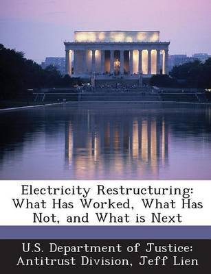 Electricity Restructuring(English, Paperback, Lien Jeff)