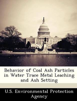 Behavior of Coal Ash Particles in Water Trace Metal Leaching and Ash Setting(English, Paperback, unknown)