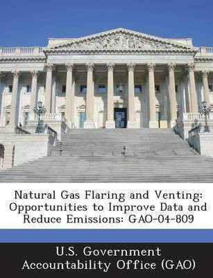 Natural Gas Flaring and Venting(English, Paperback, unknown)