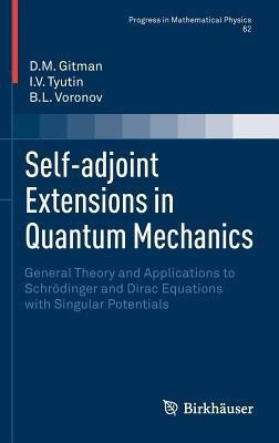 Self-adjoint Extensions in Quantum Mechanics(English, Hardcover, Gitman D.M.)
