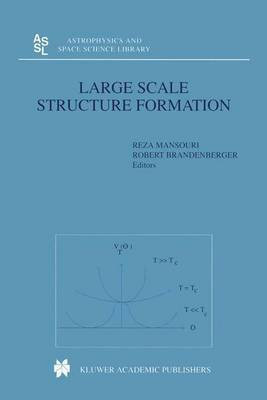 Large Scale Structure Formation(English, Hardcover, unknown)