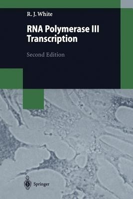 RNA Polymerase III Transcription(English, Paperback, White Robert J.)