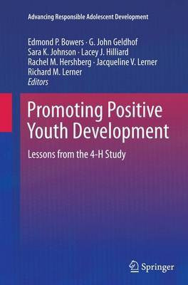 Promoting Positive Youth Development(English, Paperback, unknown)