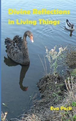 Divine Reflections in Living Things(English, Paperback, Peck Eva)