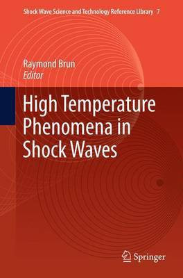 High Temperature Phenomena in Shock Waves(English, Paperback, unknown)