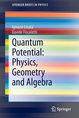 Quantum Potential: Physics, Geometry and Algebra(English, Paperback, Licata Ignazio)