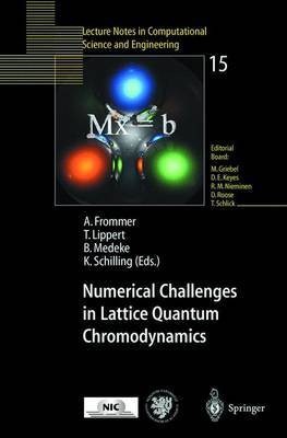 Numerical Challenges in Lattice Quantum Chromodynamics(English, Paperback, unknown)