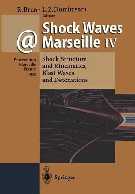 Shock Waves @ Marseille IV(English, Paperback, unknown)