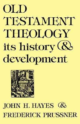 Old Testament Theology(English, Paperback, Hayes John H.)
