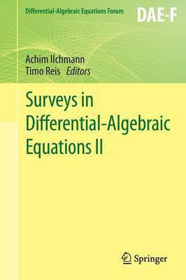 Surveys in Differential-Algebraic Equations II(English, Paperback, unknown)