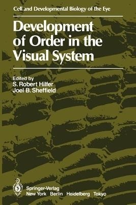 Development of Order in the Visual System(English, Paperback, unknown)