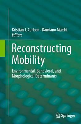 Reconstructing Mobility(English, Paperback, unknown)