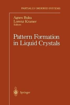 Pattern Formation in Liquid Crystals(English, Paperback, unknown)