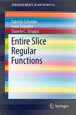 Entire Slice Regular Functions(English, Paperback, Colombo Fabrizio)