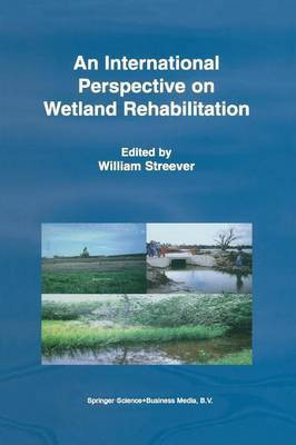 An International Perspective on Wetland Rehabilitation(English, Paperback, unknown)