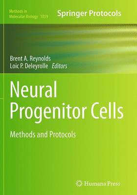 Neural Progenitor Cells(English, Paperback, unknown)