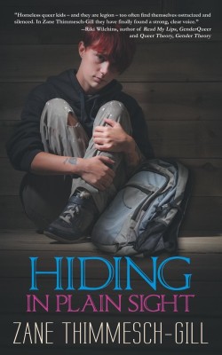 Hiding in Plain Sight(English, Paperback, Thimmesch-Gill Zane)