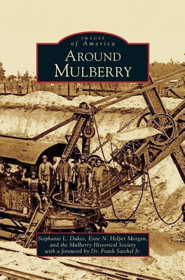 Around Mulberry(English, Hardcover, Dukes Stephanie L)