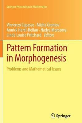 Pattern Formation in Morphogenesis(English, Paperback, unknown)