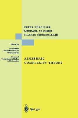 Algebraic Complexity Theory(English, Hardcover, Buergisser Peter)