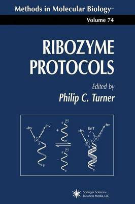 Ribozyme Protocols(English, Paperback, unknown)