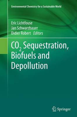 CO2 Sequestration, Biofuels and Depollution(English, Paperback, unknown)