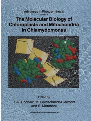 The Molecular Biology of Chloroplasts and Mitochondria in Chlamydomonas(English, Paperback, unknown)
