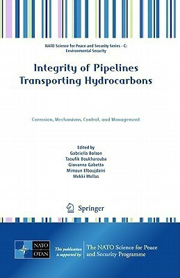 Integrity of Pipelines Transporting Hydrocarbons(English, Hardcover, unknown)