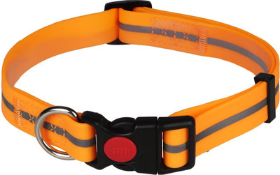 Puppy love Dog Martingale Collar(, Orange