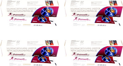 wellona pharma PAINWELL(pack of 4) Gel(30 g)