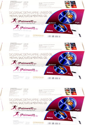 

wellona pharma PAINWELL(pack of 3) Gel(30 g)