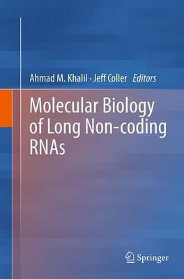 Molecular Biology of Long Non-coding RNAs(English, Paperback, unknown)