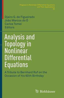 Analysis and Topology in Nonlinear Differential Equations(English, Paperback, unknown)
