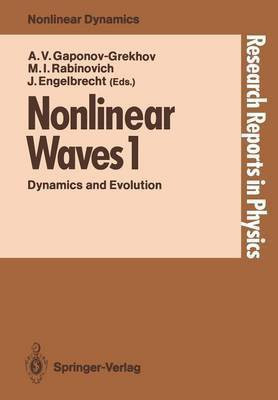 Nonlinear Waves 1(English, Paperback, unknown)