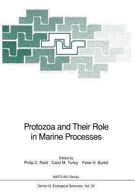 Protozoa and Their Role in Marine Processes(English, Paperback, unknown)