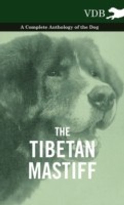 The Tibetan Mastiff - A Complete Anthology of the Dog(English, Hardcover, Various)