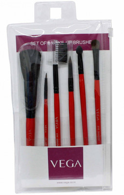 

VEGA Set of 6 Unique and Essential Makeup brushes(Pack of 6)