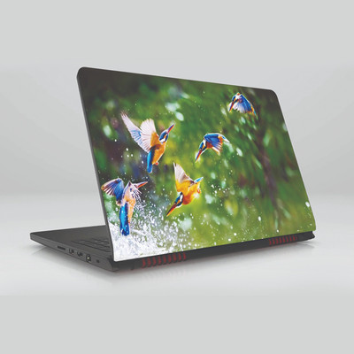 

Gifty Ads PVC Coated Laptop Skin Vinyl Stickers || Cute Birds Skin Sticker || Compatible with All Laptops (15.6 x 11.6 inches) Vinyl Laptop Decal 15.6