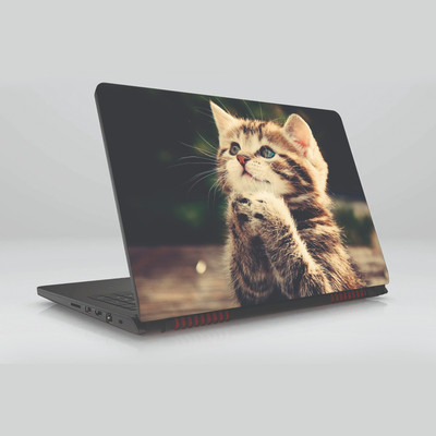 

Gifty Ads PVC Coated Laptop Skin Vinyl Stickers for 15.6 Inches Laptop || Cat Skin Sticker || Compatible with All Laptops (15.6 x 11.6 inches) Vinyl Laptop Decal 15.6