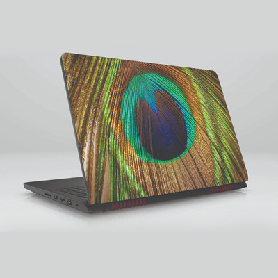 

Gifty Ads PVC Coated Laptop Skin Vinyl Stickers || Peacock Feather Skin Sticker || Compatible with All Laptops (15.6 x 11.6 inches) Vinyl Laptop Decal 15.6