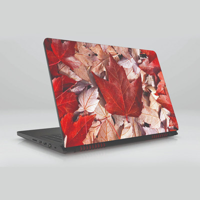 

Gifty Ads PVC Coated Laptop Skin Vinyl Stickers || Leafs Skin Sticker || Compatible with All Laptops (15.6 x 11.6 inches) Vinyl Laptop Decal 15.6