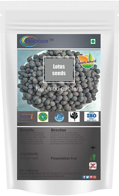 

Neotea Lotus Seeds(Makhana)(100 g)