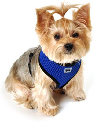 

Birds' Park Dog Body Harness for small pups or pom size 12 Nos Dog Safety Harness(, Green