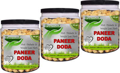 Rawmest Superb Paneer DODI | Indian Rennet | Paneer Doda | Paneer Ka Phool | Withania Coagulans | Anti-Diabetic Seed(300 per packet)