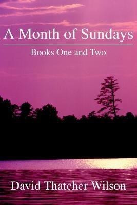 A Month of Sundays(English, Paperback, Wilson David T)